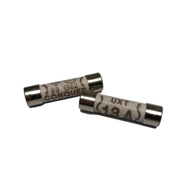 Order a A replacement pair of 13 Amp time-delay fuses.